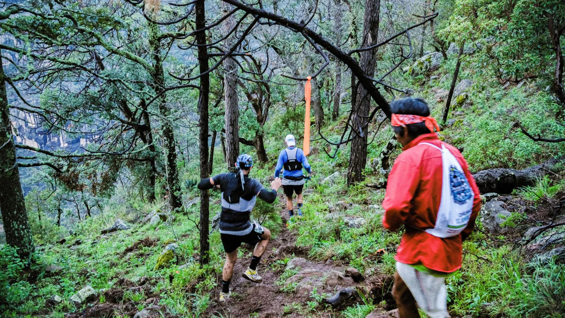 Trail run con pies ligeros | Tours en Guachochi