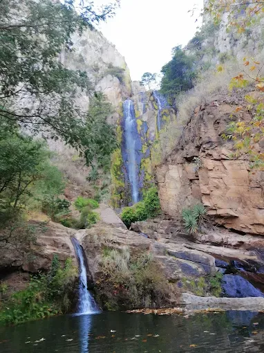 Aventura en Kokoyome | Tours en Guachochi